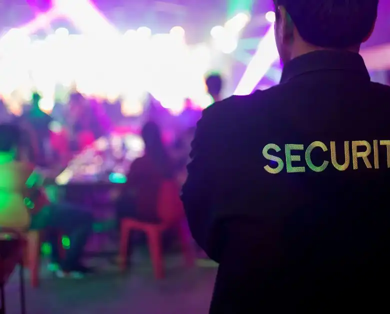 Security guard at event image